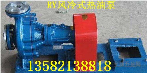 ry80 50 250風(fēng)冷式導(dǎo)熱油泵