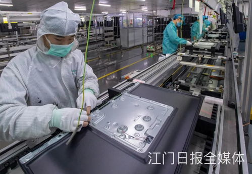 看 蓬江,機器動起來了
